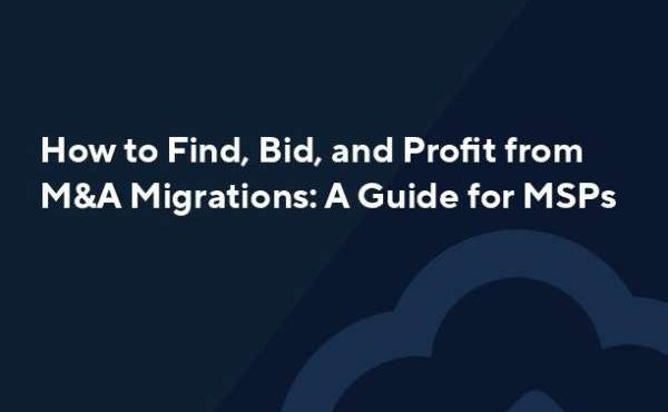 Find Bid Profit M A White Paper thumb 1