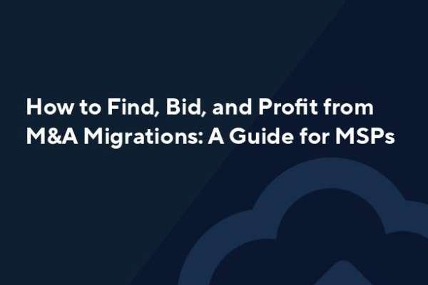 Find Bid Profit M A White Paper thumb 1