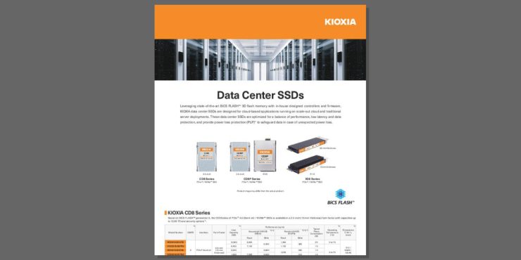 KIOXIA Data Center SSD Data Sheet fb thumb